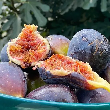 Apartma Nomad Apartment