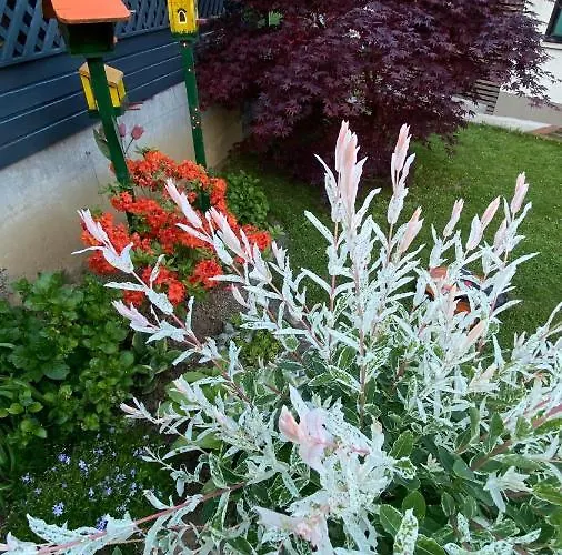 Apartament Apartma Nomad Novo Mesto