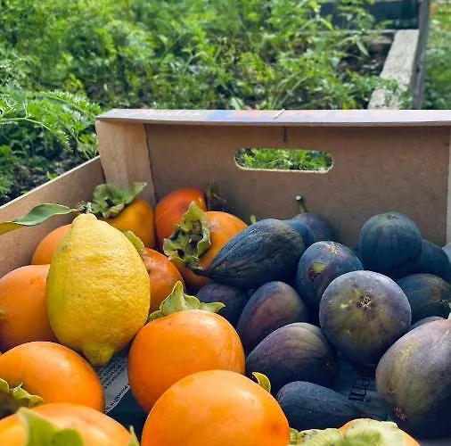 Apartma Nomad Novo Mesto