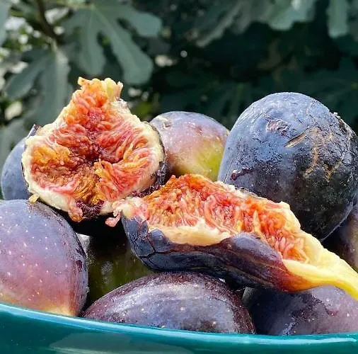 Apartma Nomad Apartament